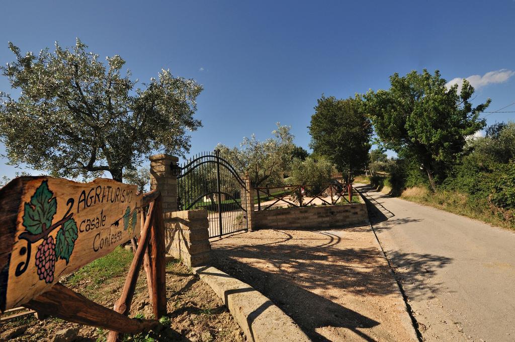 Agriturismo Casale Contessa Montebuono  Zewnętrze zdjęcie