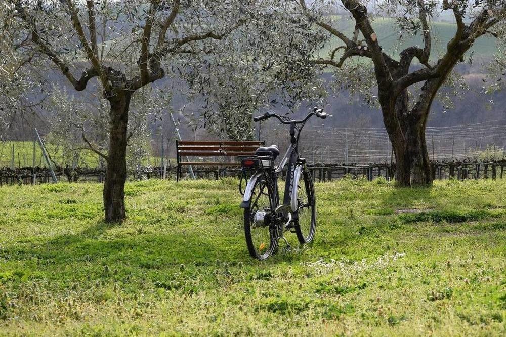 Agriturismo Casale Contessa Montebuono  Zewnętrze zdjęcie