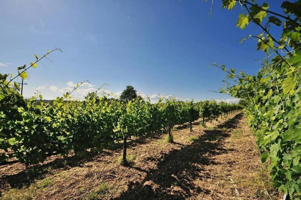 Agriturismo Casale Contessa Montebuono  Zewnętrze zdjęcie